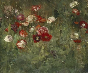 Ein Bett aus Mohnblumen, 1909